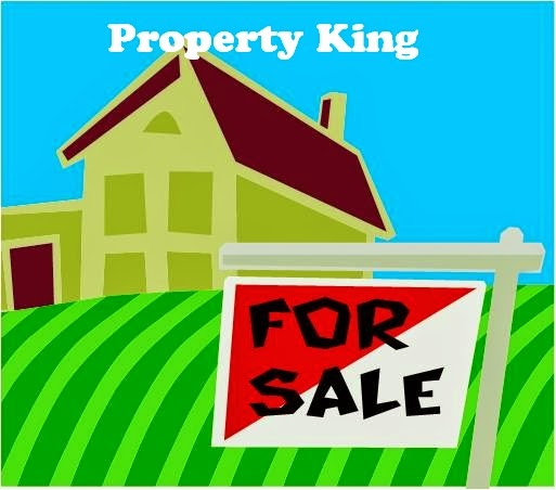 Property King