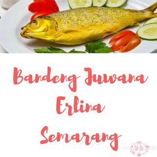 Pusat oleh-oleh Bandeng Juwana Erlina Semarang