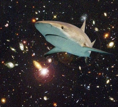 Space Shark