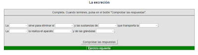 http://www.ceiploreto.es/sugerencias/cplosangeles.juntaextremadura.net/web/cono_tercer_ciclo/nutricion/actividades_unidad_4/excrecion01.htm