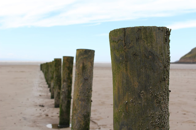 Project 365 2015 day 223 - Brean Down // 76sunflowers