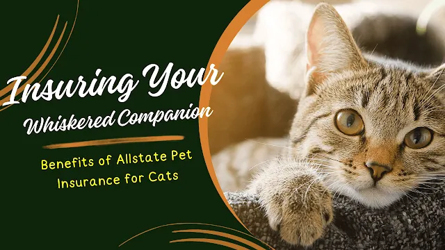 Allstate Pet Insurance for Cats