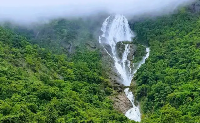 dudhsagar waterfalls goa