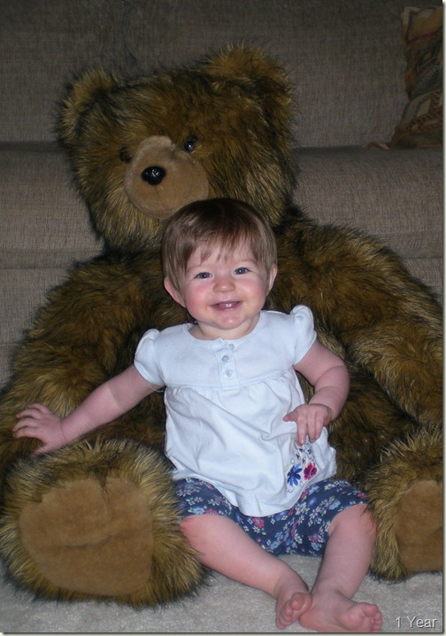 12 Month Bear Photo