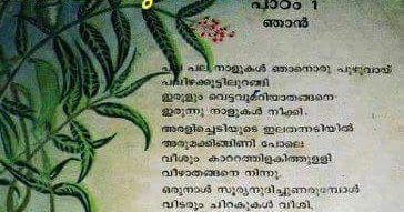 Random Writez: Malayalam Poem - Poombatta (Butterfly)
