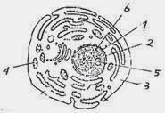 clip_image011