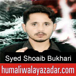 https://www.humaliwalayazadar.com/2019/09/syed-shoaib-bukhari-nohay-2020.html