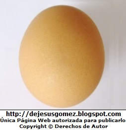 Foto de huevo solitario de Jesus Gómez