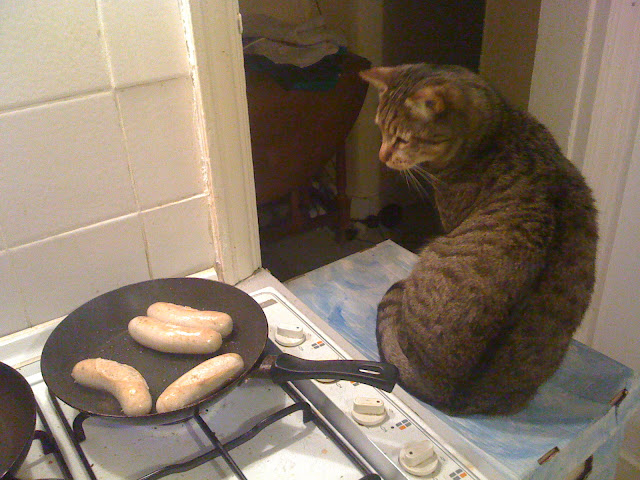 Chef cat is watching the sausages by ruudb0y from flickr (CC-NC-SA)