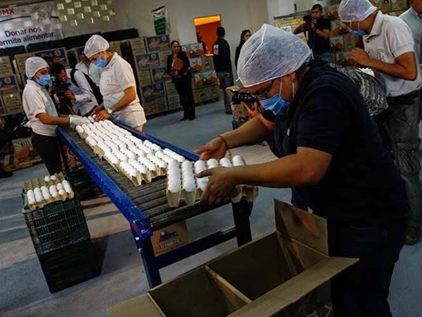Diputados exhortan a fijar política de precios máximos del huevo