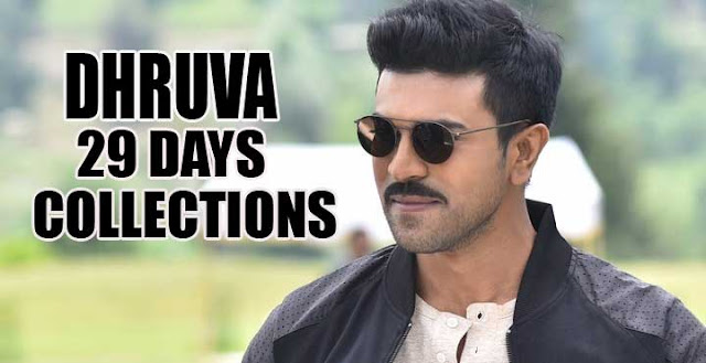 Dhruva 29 Days Collections