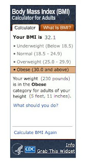 BMI Results For An Adult