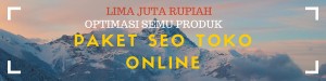 Paket Jasa SEO Toko Online Haribest.com