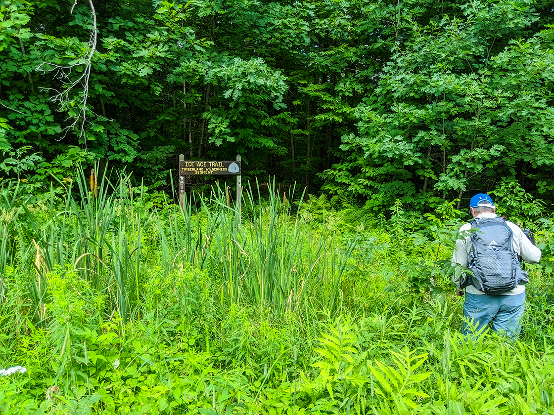 Along the Ice Age Trail Timberland Wilderness Segment