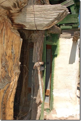 2009_0509_PicketwireCanyon-122