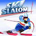 Ski Slalom Game