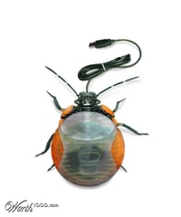insects_15