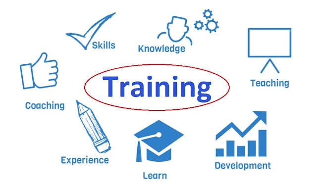 Title image for Training Article