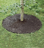 Arbor Edge Plastic Round Tree Ring1