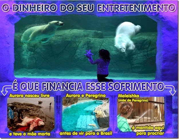 sofrimento_animal