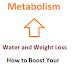 Understanding Water and Weight Loss: How to Boost Your Metabolism - A Comprehensive Overview