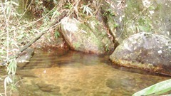 IMAG0360
