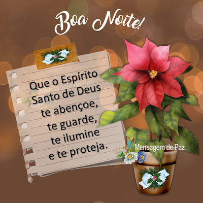 Que o Espírito Santo de Deus te abençoe, te guarde, te ilumine e te proteja. Boa Noite!