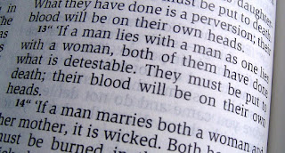 anti homosexual bible verse