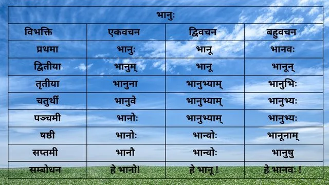 Bhanu Shabd Roop in Sanskrit