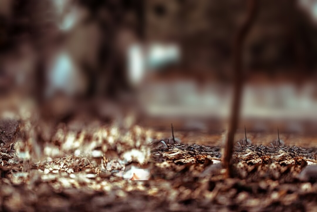 Photo Editing Background