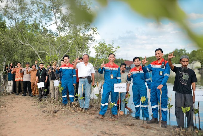 Peringati Hari Lingkungan Hidup Sedunia Pertagas Tanam 1.000 Pohon Mangrove di Dumai
