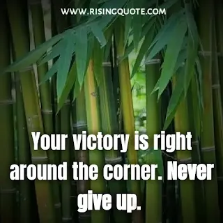 never give up quotes