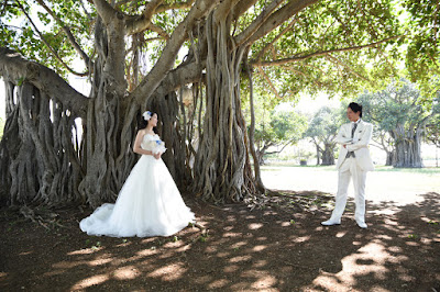 Banyan Tree