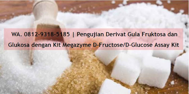 Jual kit Fruktosa Megazyme