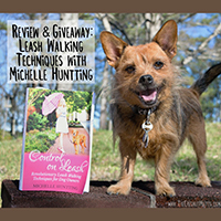 Michelle Huntting's Control on Leash giveaway