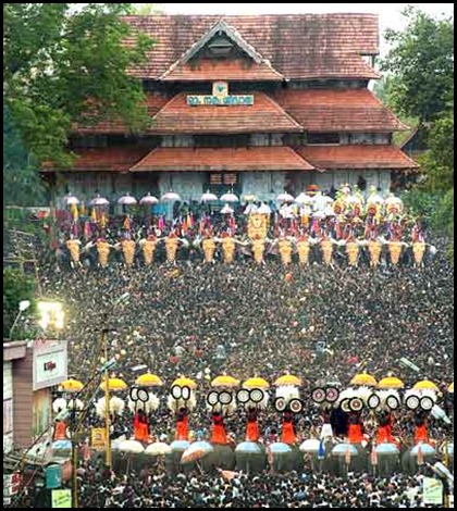 Vadakumnathan Temple Elephants for Pooram