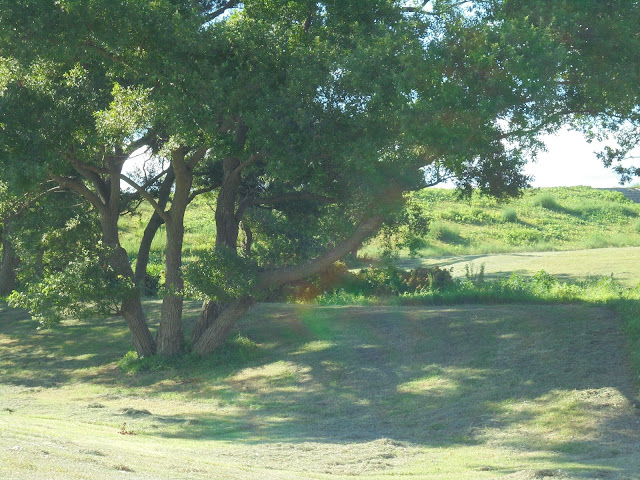 日吉津公園