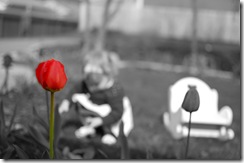 DSC_0074 copy