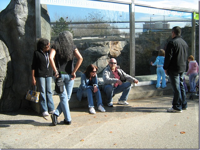 iNDYZOO1109 (2)