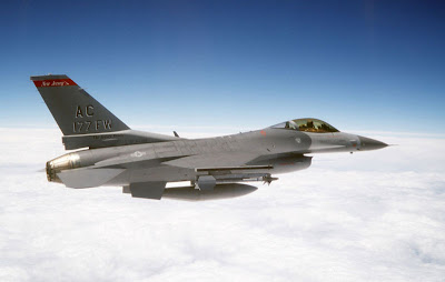 F-16 Fighting Falcon image 3