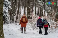 Propozycja widokowej pętli na Kozią Górę oraz Szyndzielnię w Beskidzie Śląskim! Opis szlaków i charakterystyka tras