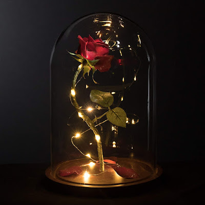 The Disney Beauty AND The Beast Belle Enchanted Forever Rose in Glass Dome