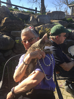 Teri and Coco, the Couture Cat Sunday Brunch at the Warwick Winery