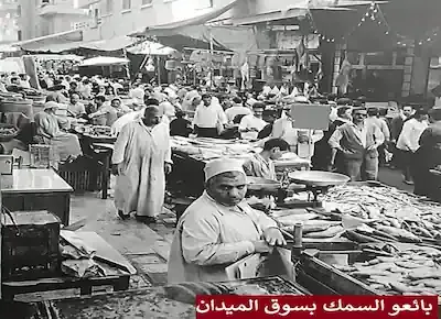 صور فوتوغرافية تاريخية نادرة للأسكندرية زمان (2)