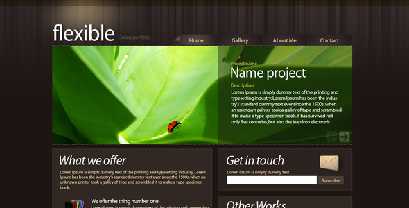 Flexible - Portfolio Creative