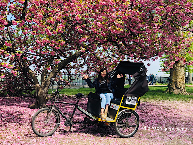 Central Park Rickshaw Tours