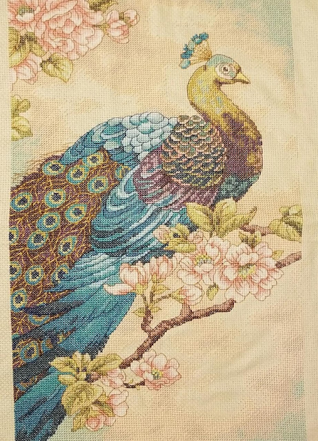 Completed Indian Peacock Cross Stitch