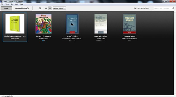 kindle1 kindle1
