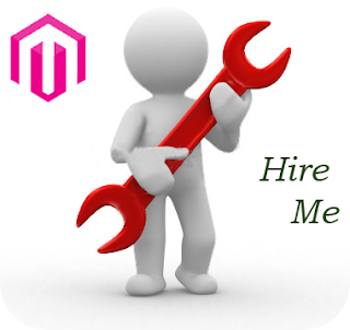 hire magento programmer