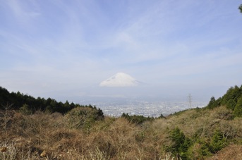 DSC 0051
